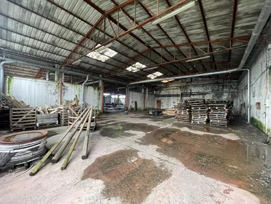 Immagine 41 di Capannone industriale in vendita  in Via Palazzina a San Pietro Di Morubio