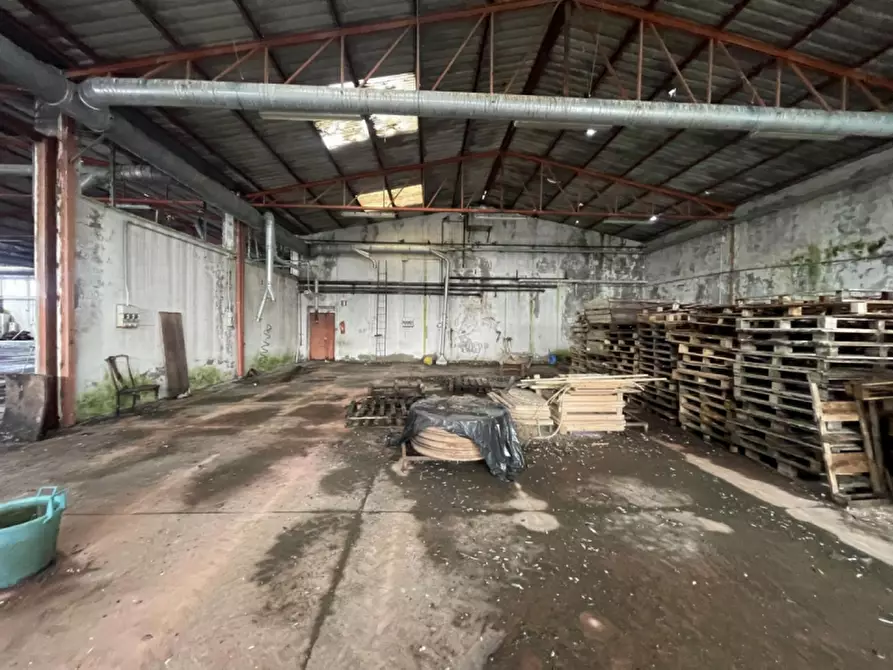 Immagine 42 di Capannone industriale in vendita  in Via Palazzina a San Pietro Di Morubio