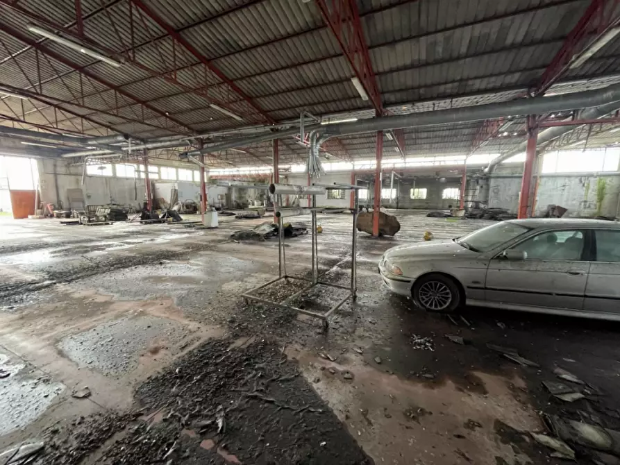 Immagine 43 di Capannone industriale in vendita  in Via Palazzina a San Pietro Di Morubio