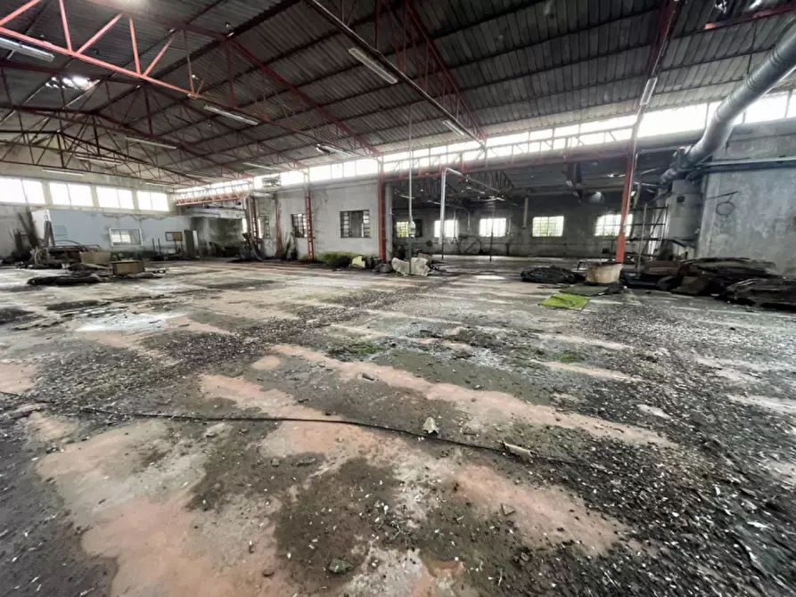 Immagine 44 di Capannone industriale in vendita  in Via Palazzina a San Pietro Di Morubio