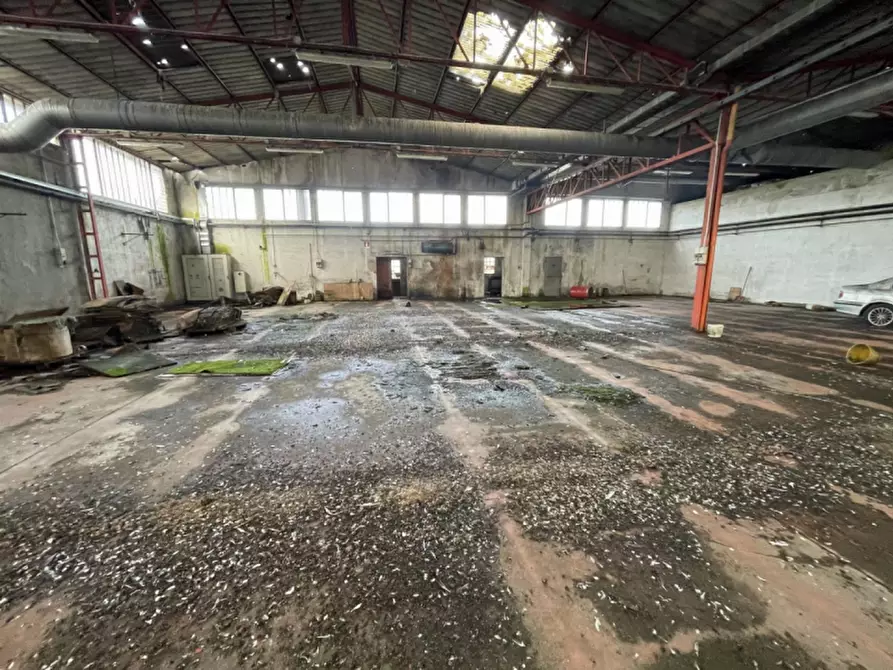Immagine 45 di Capannone industriale in vendita  in Via Palazzina a San Pietro Di Morubio