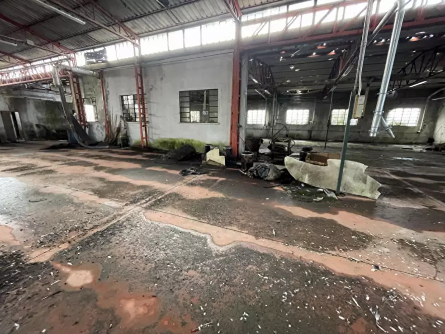 Immagine 46 di Capannone industriale in vendita  in Via Palazzina a San Pietro Di Morubio