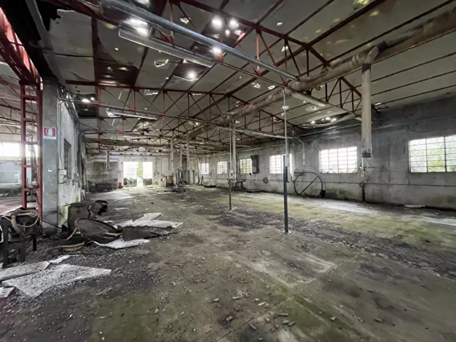 Immagine 47 di Capannone industriale in vendita  in Via Palazzina a San Pietro Di Morubio