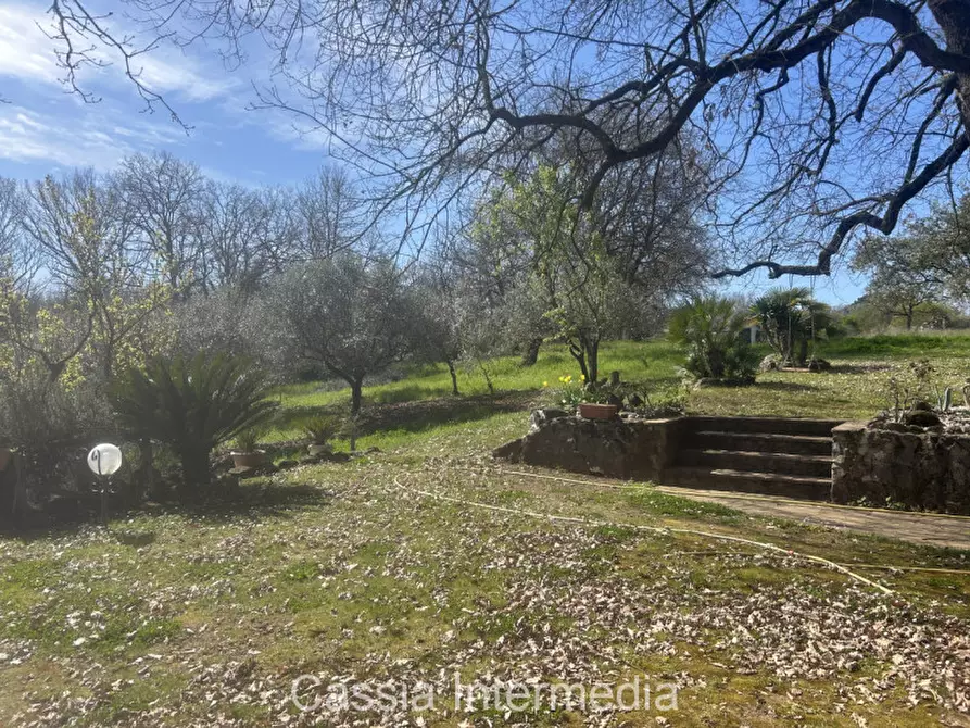 Immagine 2 di Terreno in vendita  in Via Campo Stivaletto a Nepi