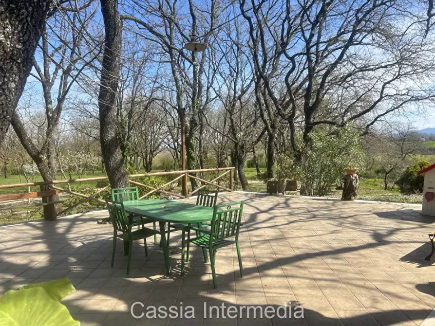 Immagine 24 di Terreno in vendita  in Via Campo Stivaletto a Nepi