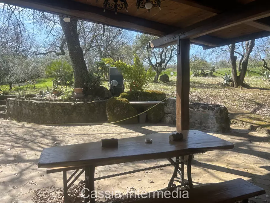 Immagine 26 di Terreno in vendita  in Via Campo Stivaletto a Nepi