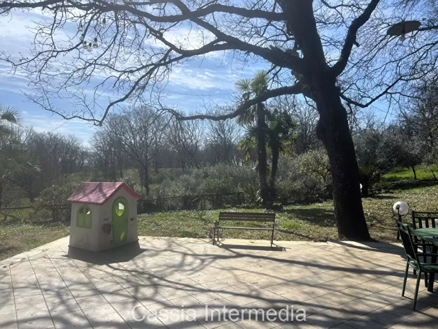 Immagine 27 di Terreno in vendita  in Via Campo Stivaletto a Nepi