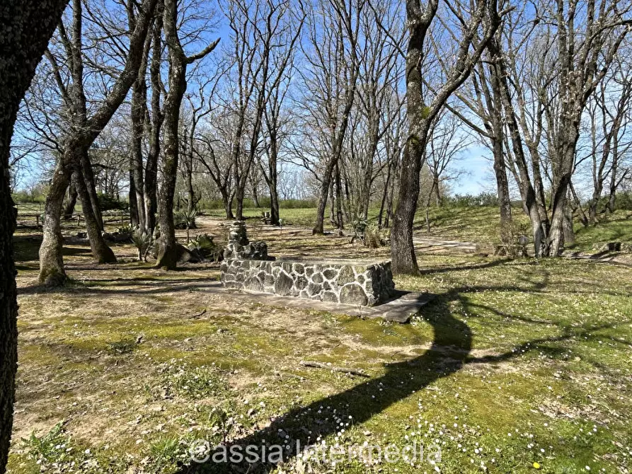 Immagine 29 di Terreno in vendita  in Via Campo Stivaletto a Nepi