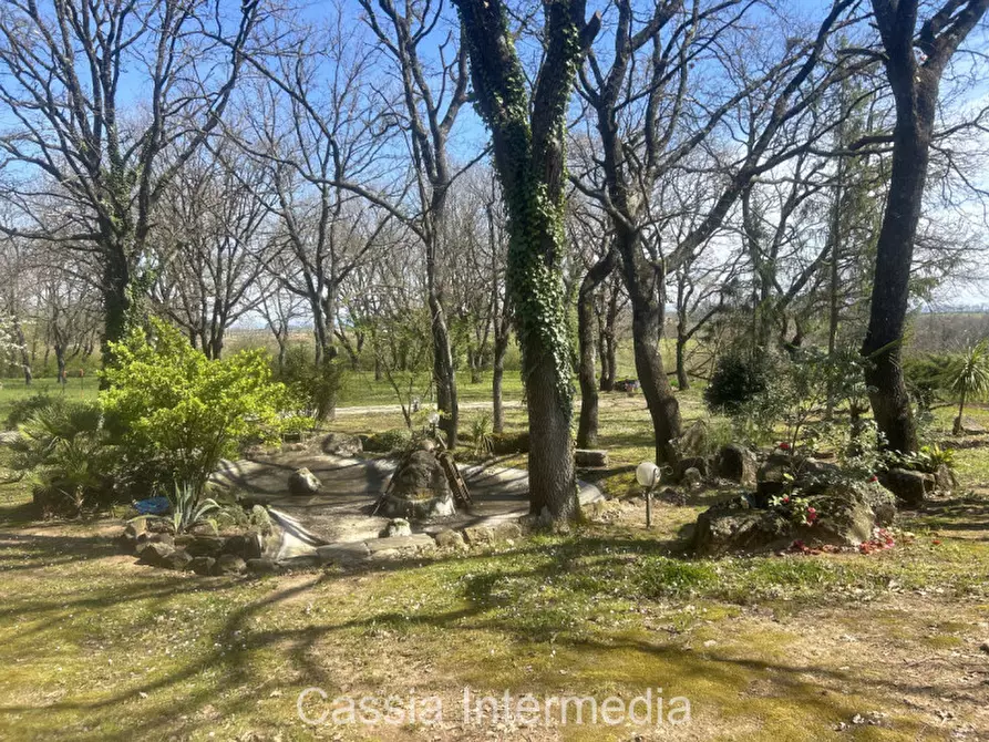 Immagine 31 di Terreno in vendita  in Via Campo Stivaletto a Nepi