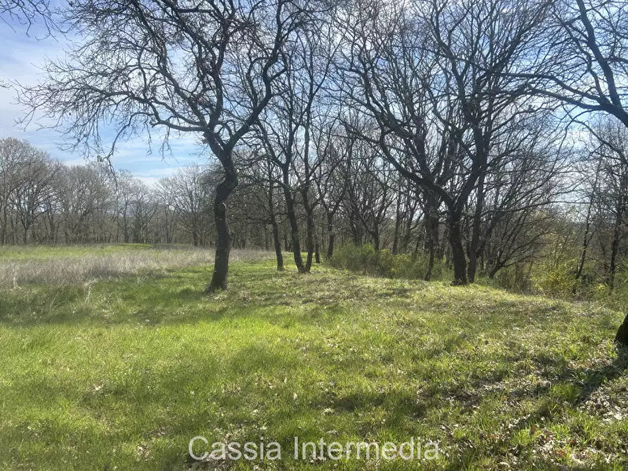 Immagine 34 di Terreno in vendita  in Via Campo Stivaletto a Nepi