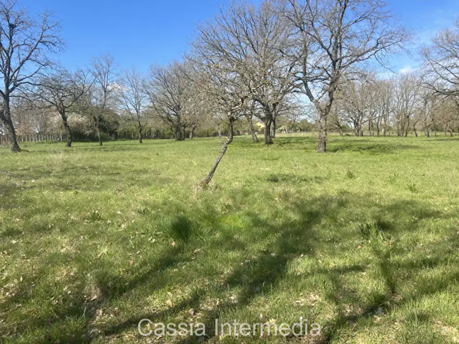 Immagine 35 di Terreno in vendita  in Via Campo Stivaletto a Nepi