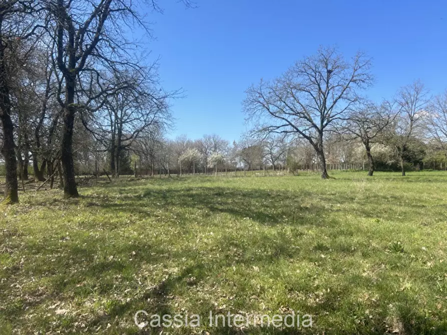 Immagine 37 di Terreno in vendita  in Via Campo Stivaletto a Nepi