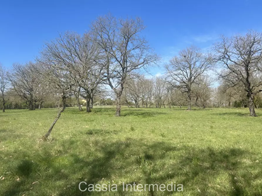 Immagine 38 di Terreno in vendita  in Via Campo Stivaletto a Nepi