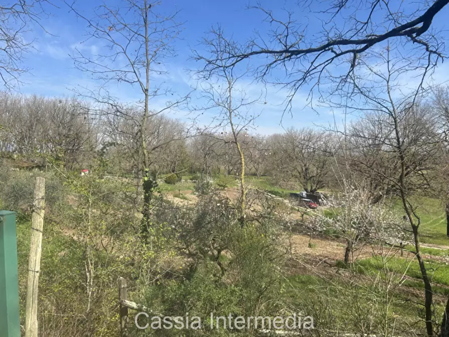Immagine 40 di Terreno in vendita  in Via Campo Stivaletto a Nepi