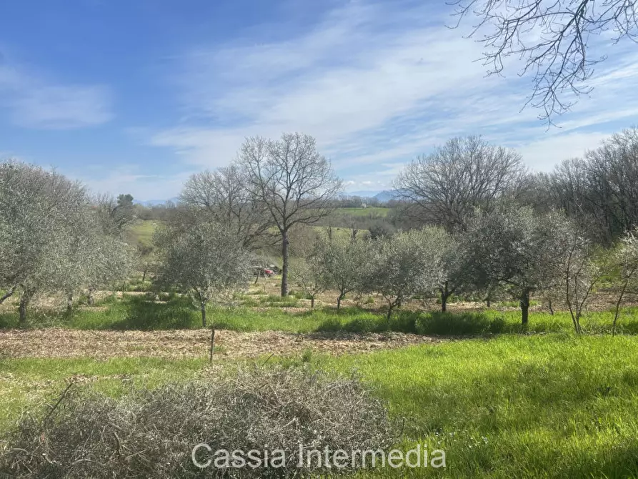Immagine 41 di Terreno in vendita  in Via Campo Stivaletto a Nepi