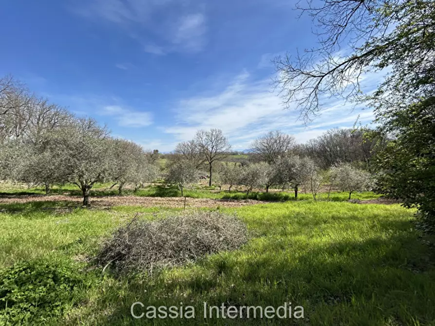 Immagine 43 di Terreno in vendita  in Via Campo Stivaletto a Nepi