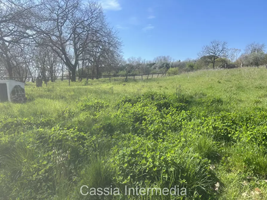 Immagine 44 di Terreno in vendita  in Via Campo Stivaletto a Nepi