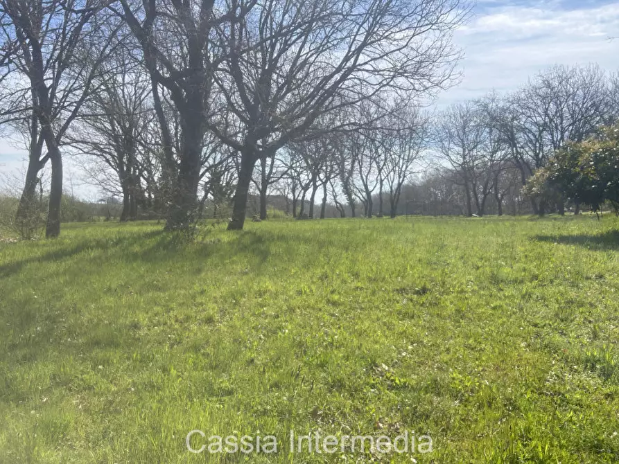 Immagine 46 di Terreno in vendita  in Via Campo Stivaletto a Nepi