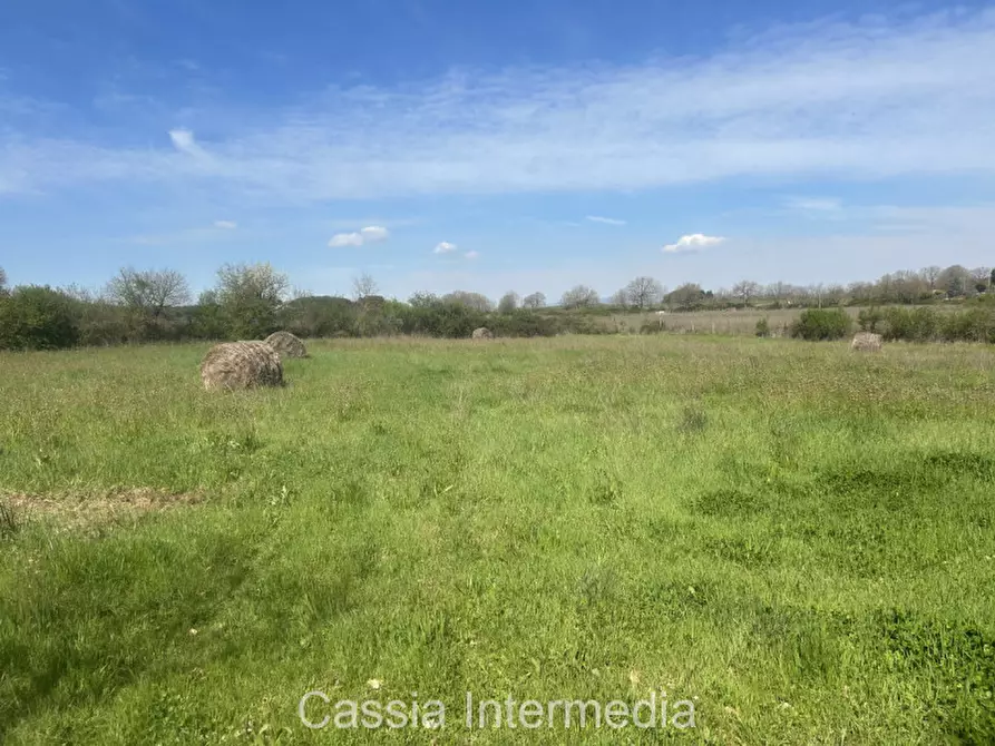 Immagine 47 di Terreno in vendita  in Via Campo Stivaletto a Nepi