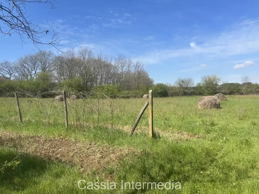 Immagine 48 di Terreno in vendita  in Via Campo Stivaletto a Nepi