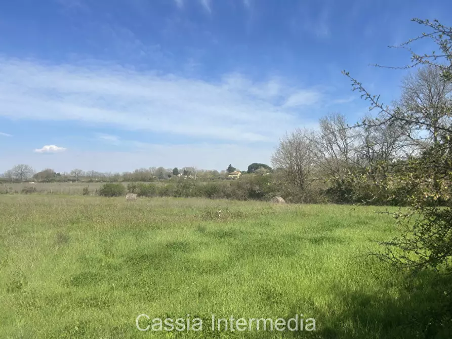 Immagine 49 di Terreno in vendita  in Via Campo Stivaletto a Nepi