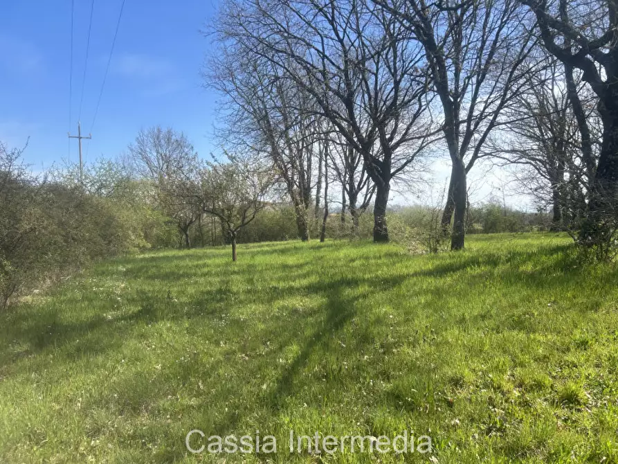 Immagine 50 di Terreno in vendita  in Via Campo Stivaletto a Nepi