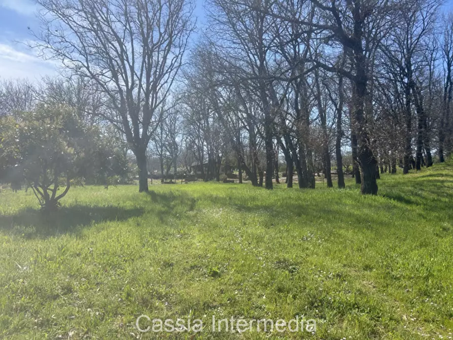 Immagine 51 di Terreno in vendita  in Via Campo Stivaletto a Nepi