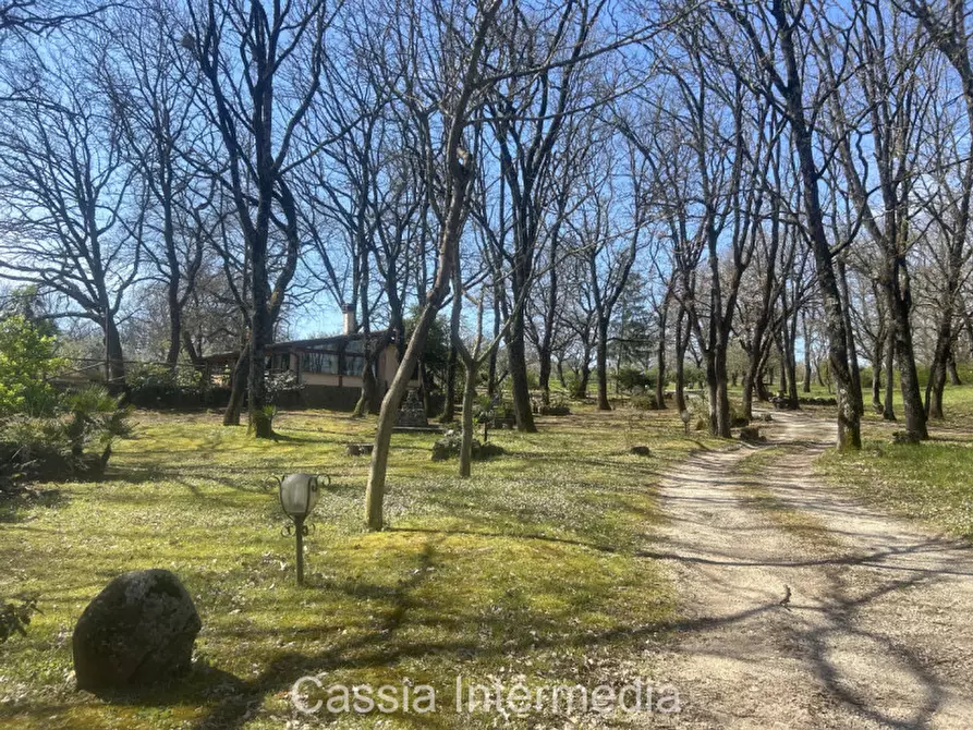 Immagine 52 di Terreno in vendita  in Via Campo Stivaletto a Nepi