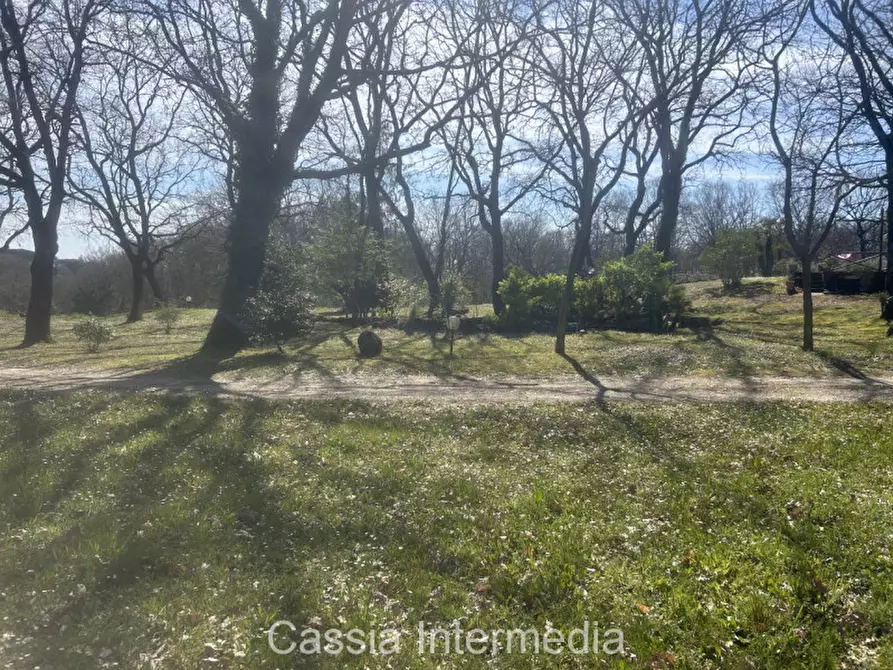 Immagine 53 di Terreno in vendita  in Via Campo Stivaletto a Nepi