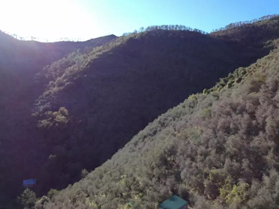 Immagine 2 di Terreno in vendita  in Levanto SP, Italia a Levanto
