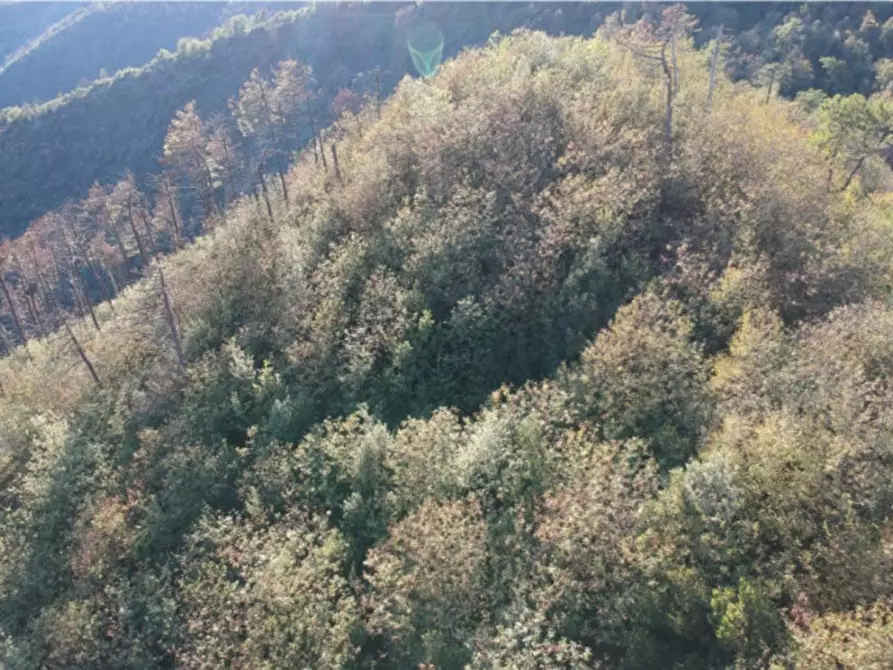 Immagine 3 di Terreno in vendita  in Levanto SP, Italia a Levanto