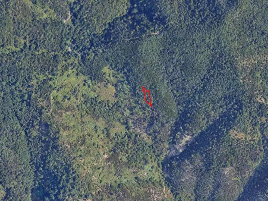 Immagine 6 di Terreno in vendita  in Levanto SP, Italia a Levanto