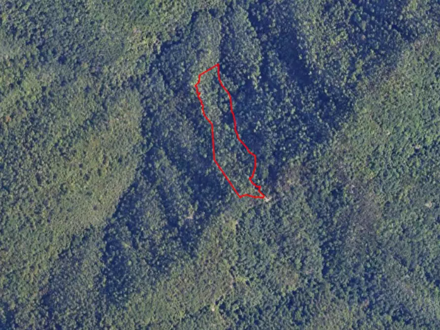Immagine 7 di Terreno in vendita  in Levanto SP, Italia a Levanto
