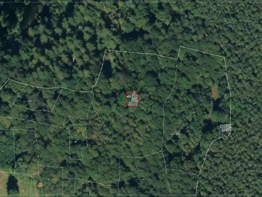 Immagine 12 di Terreno in vendita  in Via Fornello Ex Chioso, 10080 Traversella TO, Italia a Traversella