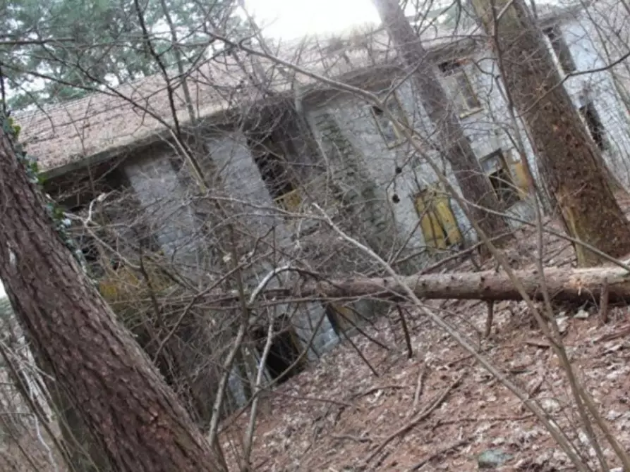 Immagine 15 di Terreno in vendita  in Via Fornello Ex Chioso, 10080 Traversella TO, Italia a Traversella