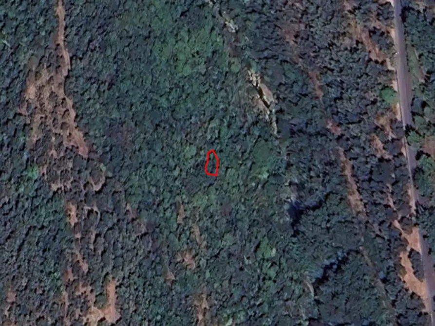 Immagine 3 di Terreno in vendita  in San Bartolomeo al Mare IM, Italia a San Bartolomeo Al Mare