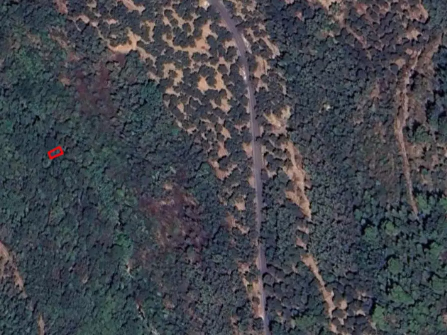 Immagine 4 di Terreno in vendita  in San Bartolomeo al Mare IM, Italia a San Bartolomeo Al Mare