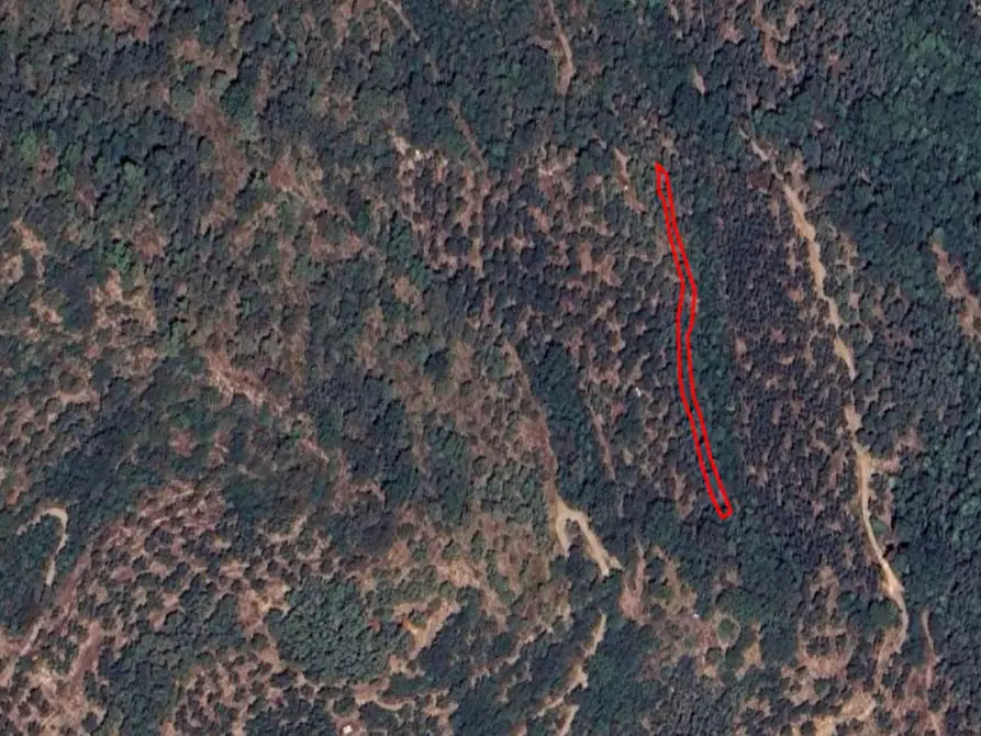 Immagine 5 di Terreno in vendita  in San Bartolomeo al Mare IM, Italia a San Bartolomeo Al Mare