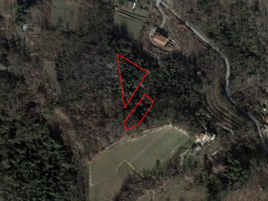 Immagine 2 di Terreno in vendita  in Via Valle, 15060 Silvano d'Orba AL, Italia a Silvano D'orba