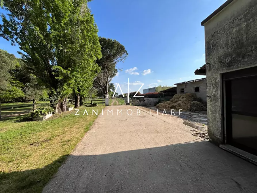 Immagine 23 di Attività commerciale in vendita  in Via Brenta a San Martino Di Lupari