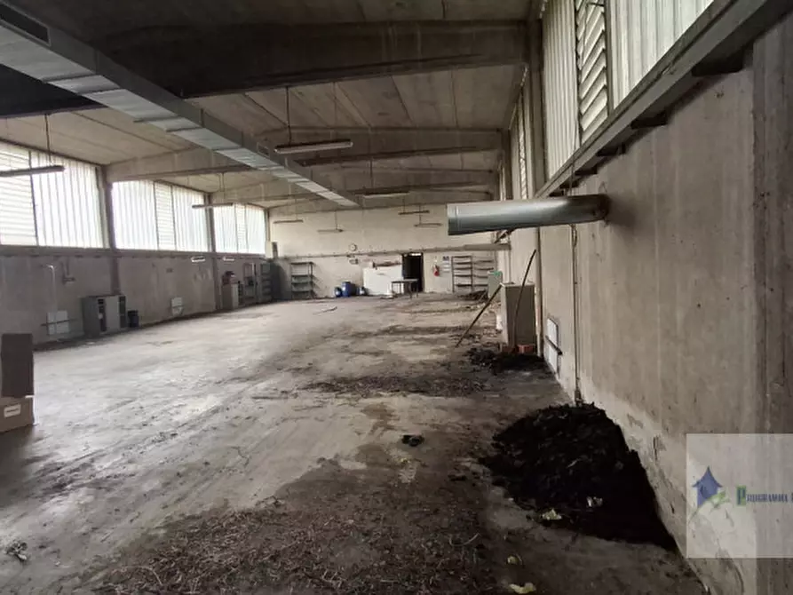 Immagine 3 di Capannone industriale in vendita  in Via Brescia 9 a Robecchetto Con Induno