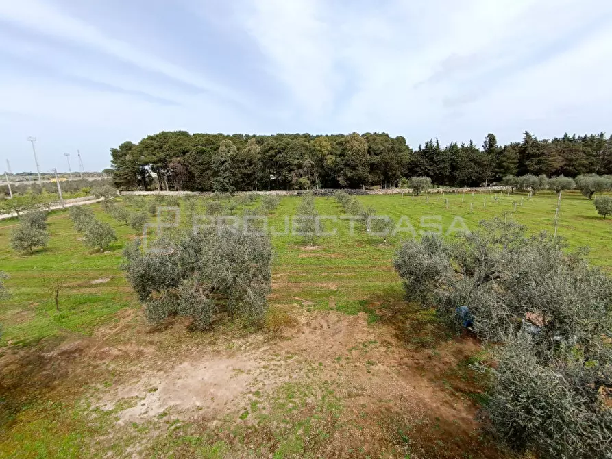 Immagine 33 di Villa in vendita  in strada vicinale Melpignano a Castrignano De' Greci