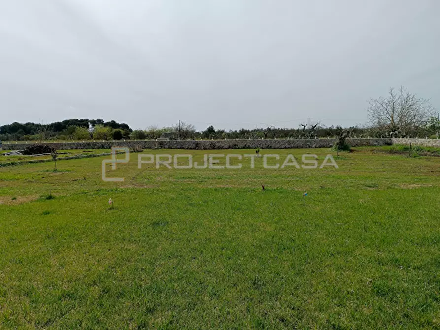 Immagine 34 di Villa in vendita  in strada vicinale Melpignano a Castrignano De' Greci