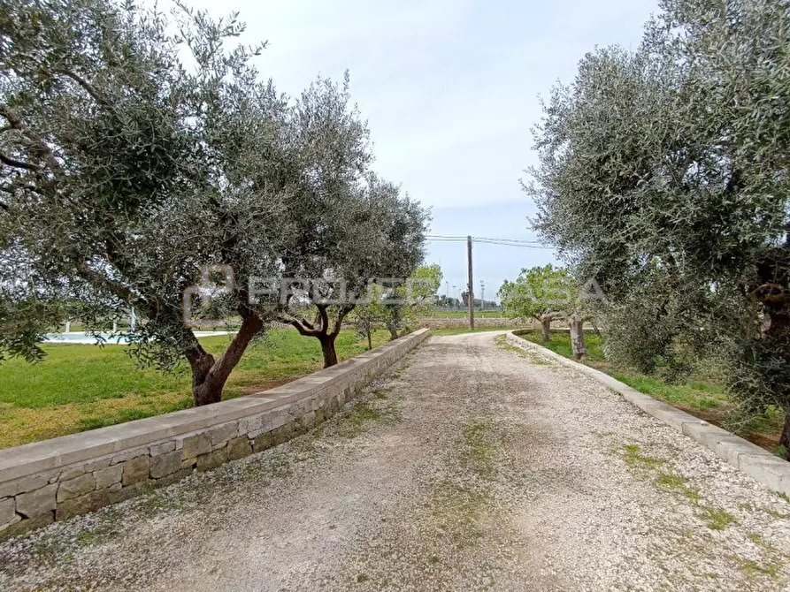 Immagine 37 di Villa in vendita  in strada vicinale Melpignano a Castrignano De' Greci