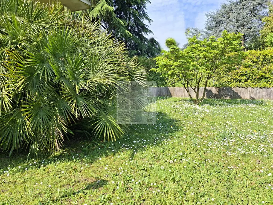 Immagine 19 di Appartamento in vendita  in Via Polcastro a Loreggia