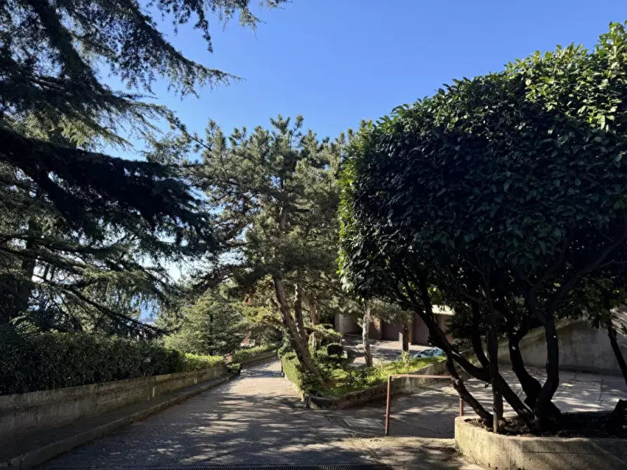 Immagine 28 di Appartamento in vendita  in Via del Panorama 42 a Trieste