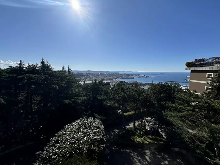 Immagine 29 di Appartamento in vendita  in Via del Panorama 42 a Trieste