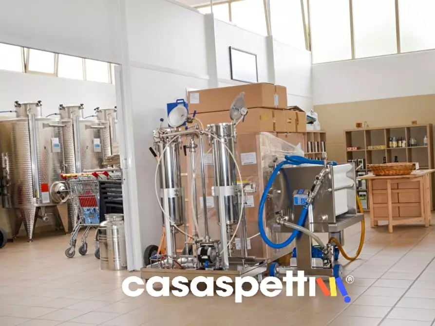 Immagine 17 di Laboratorio in vendita  in Strada Ponterosso snc a Saludecio