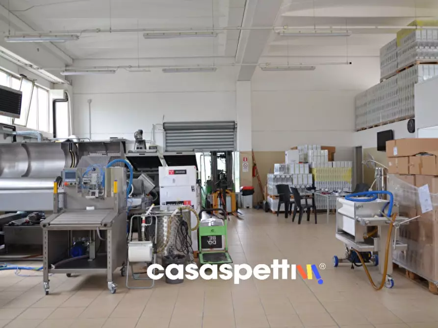 Immagine 21 di Laboratorio in vendita  in Strada Ponterosso snc a Saludecio