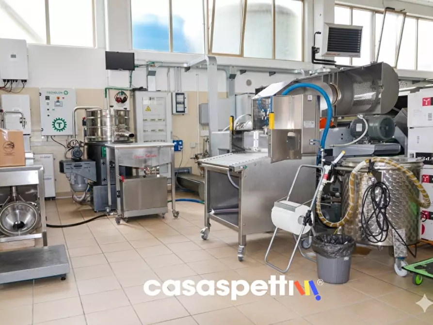 Immagine 32 di Laboratorio in vendita  in Strada Ponterosso snc a Saludecio